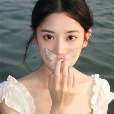 完美伴侣